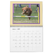 Golden Retriever Agility Calendar Kalender (Mär 2027)