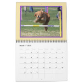 Golden Retriever Agility Calendar Kalender (Mär 2026)