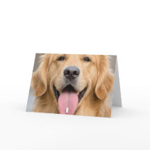 Golden Retriever Alter Geburtstag Humor