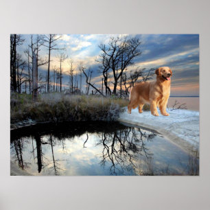 Golden Retriever am Snowy Lake Print Poster