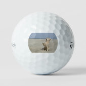 Golden Retriever am Strand Golfball (Vorderseite)