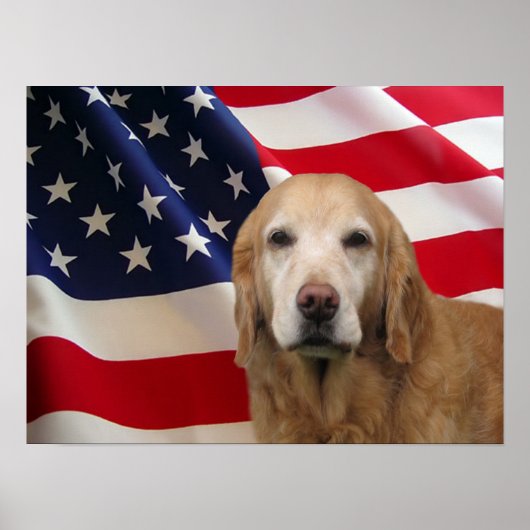 Golden Retriever American Flag Print Poster (Vorne)
