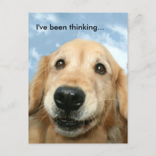 Golden Retriever, an den ich dachte Postkarte