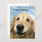 Golden Retriever, an den ich dachte Postkarte (Vorne/Hinten)