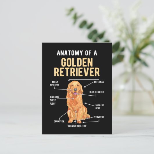 Golden Retriever Anatomy Funny Dog Postkarte (Stehend Vorderseite)
