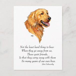Golden Retriever Andenken Postkarte