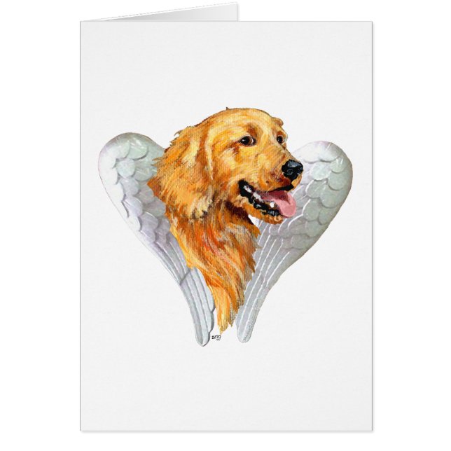Golden Retriever Angel (Vorne)