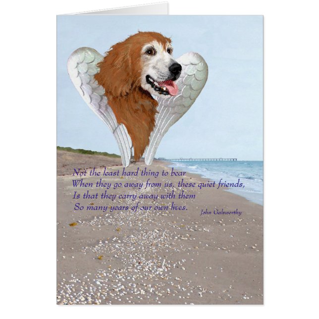 Golden Retriever Angel (Vorne)