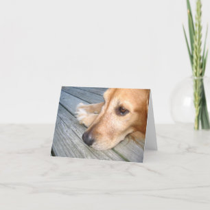 Golden retriever-Anmerkungs-Karte Karte