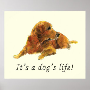 Golden Retriever Aquarellmalerei Dog Slogan Poster