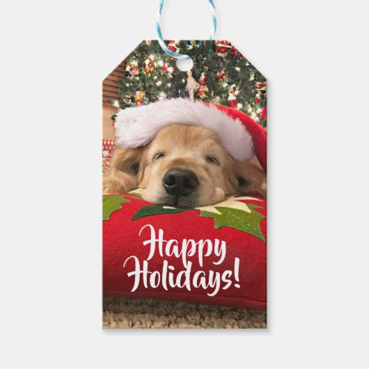 Golden Retriever Asleep Under Tree Individuelle Na Geschenkanhänger (Vorderseite)