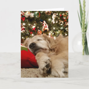 Golden Retriever Asleep Unter dem Weihnachtsbaum Feiertagskarte