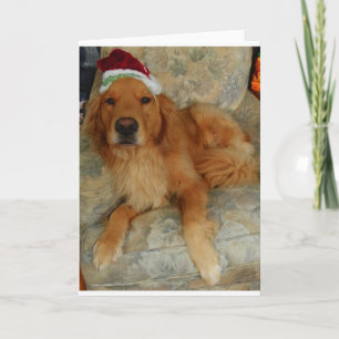 Golden Retriever at Christmas Feiertagskarte