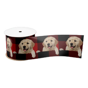 Golden Retriever auf Buffalo Kariert Satin Ribbon Satinband