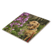 Golden retriever auf dem Gebiet Fliese (Seite)