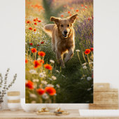 Golden Retriever auf dem sonnigen Gras Poster (Küche)