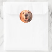 Golden Retriever Aufkleber (Tasche)