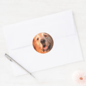 Golden Retriever Aufkleber (Umschlag)