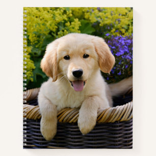 Golden Retriever Baby Doppy Welpe Foto Notizblock