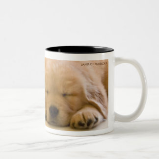 Golden retriever-Babys Zweifarbige Tasse