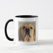 Golden Retriever Balancing Leckerei on Nose Tasse (Links)