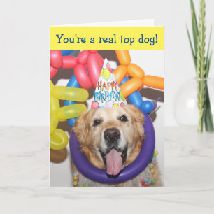Golden Retriever Ballon Geburtstag Karte