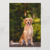 Golden Retriever Bar Menükarte (Rückseite)