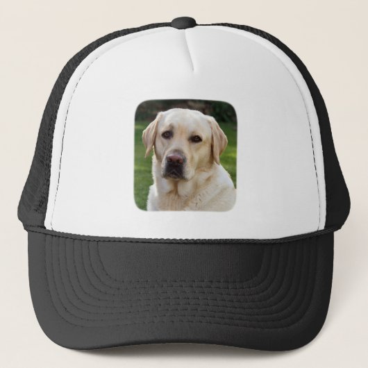 Golden Retriever Baseball / Trucker Hut Truckerkappe (Vorderseite)