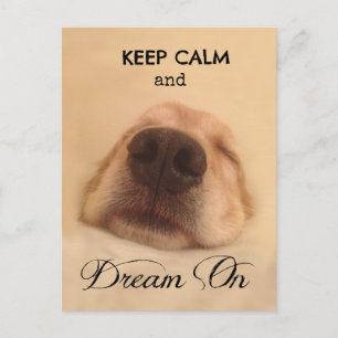 Golden Retriever Behalt Calm Dream Postkarte