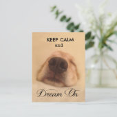 Golden Retriever Behalt Calm Dream Postkarte (Stehend Vorderseite)