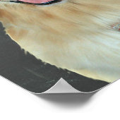 Golden Retriever Behalten Ruhe im Klassenzimmer Poster (Ecke)