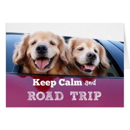 Golden Retriever Behalten Ruhe und Straßenfahrt (Vorderseite (Horizontal))