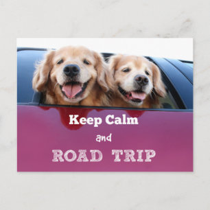 Golden Retriever Behalten Ruhe und Straßenfahrt Postkarte