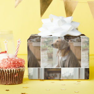 Golden Retriever betrachtet den Regen Geschenkpapier