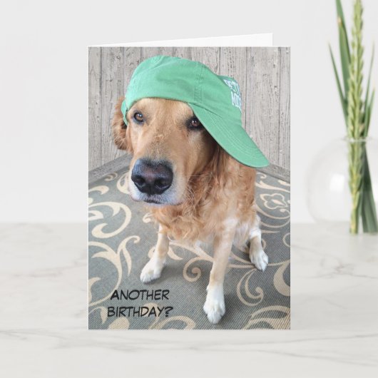 Golden Retriever Birthday Humor Karte (Vorderseite)