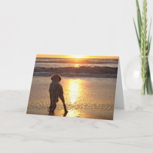 Golden Retriever Blank Foto Card Karte (Vorderseite)