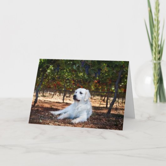 Golden Retriever Blank Grußkarte Karte (Vorderseite)