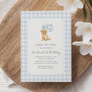 Golden Retriever Blue Gingham Birthday Einladung