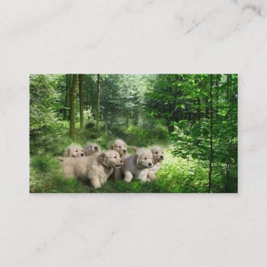 Golden retriever-Brüter-Visitenkarte Visitenkarte (Vorderseite)