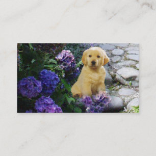 Golden retriever-Brüter-Visitenkarte Visitenkarte