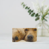 Golden retriever-Brüter-Visitenkarte Visitenkarte (Stehend Vorderseite)