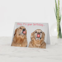 Golden Retriever Bubblegum Birthday