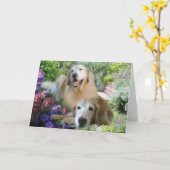 Golden Retriever Buddies Card Karte (Gelbe Blume)