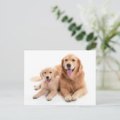 Golden Retriever Buddies Postkarte (Stehend Vorderseite)