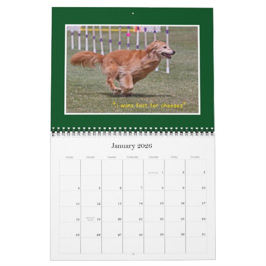 Golden Retriever Calendar 2012 Kalender (Jan 2026)