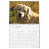 Golden Retriever Calendar 2016 Kalender (Feb 2026)