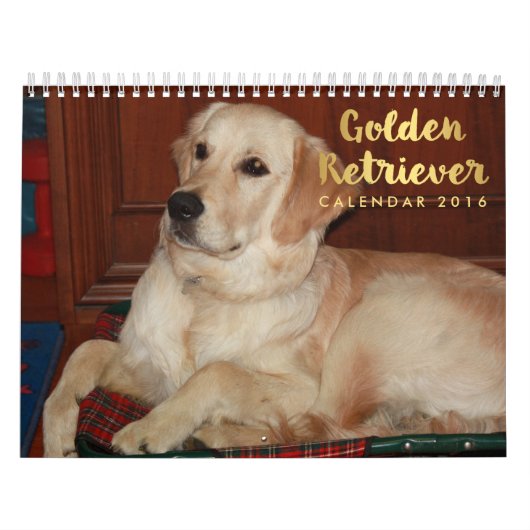 Golden Retriever Calendar 2016 Kalender (Titelbild)