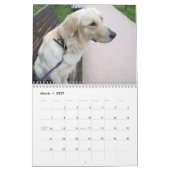 Golden Retriever Calendar 2016 Kalender (Mär 2027)
