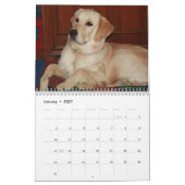 Golden Retriever Calendar 2016 Kalender (Jan 2027)