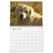 Golden Retriever Calendar 2016 Kalender (Feb 2027)